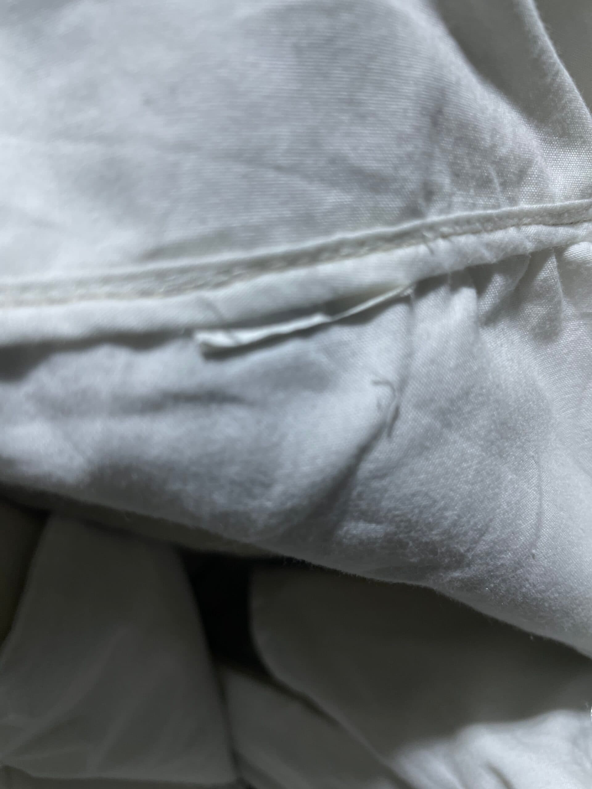 Zara thrift chinos India close-up