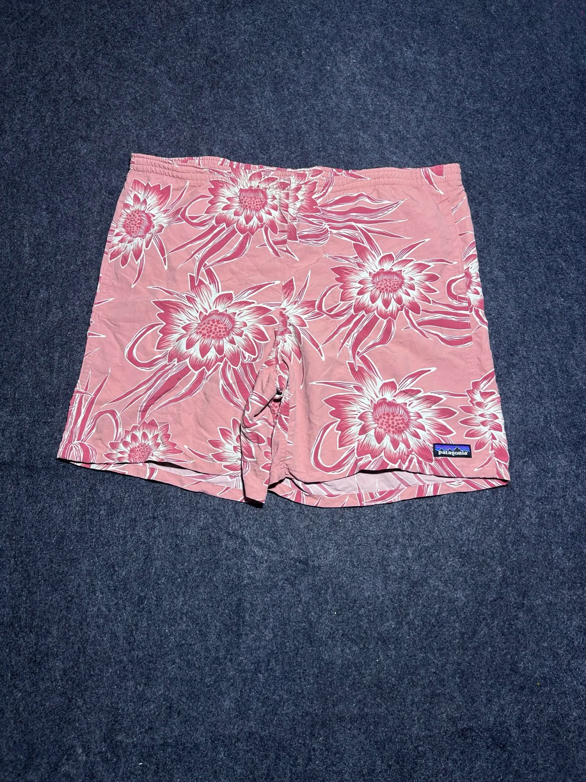 Patagonia thrift shorts India