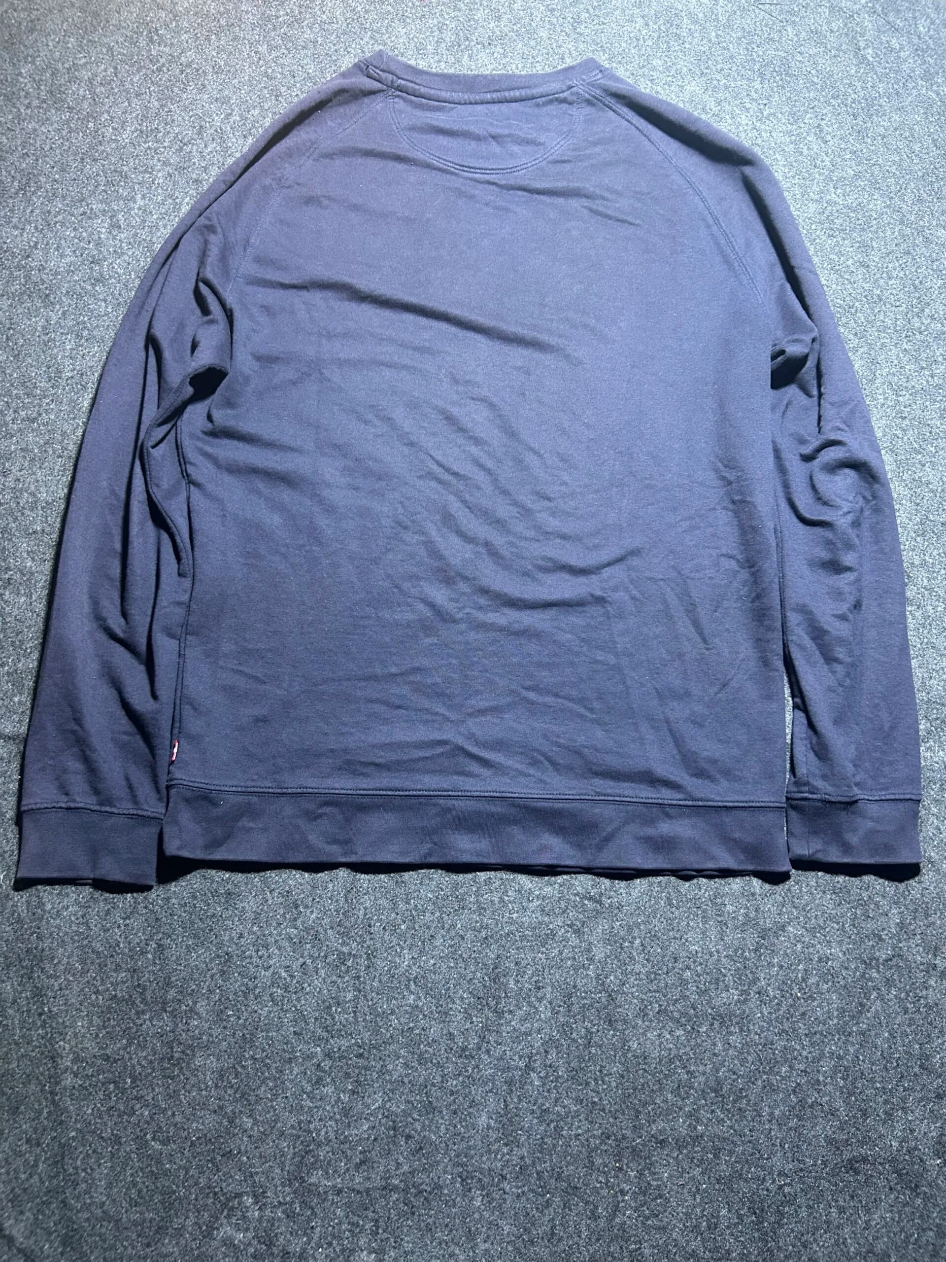 Branded thrift sweatshirt India back view
