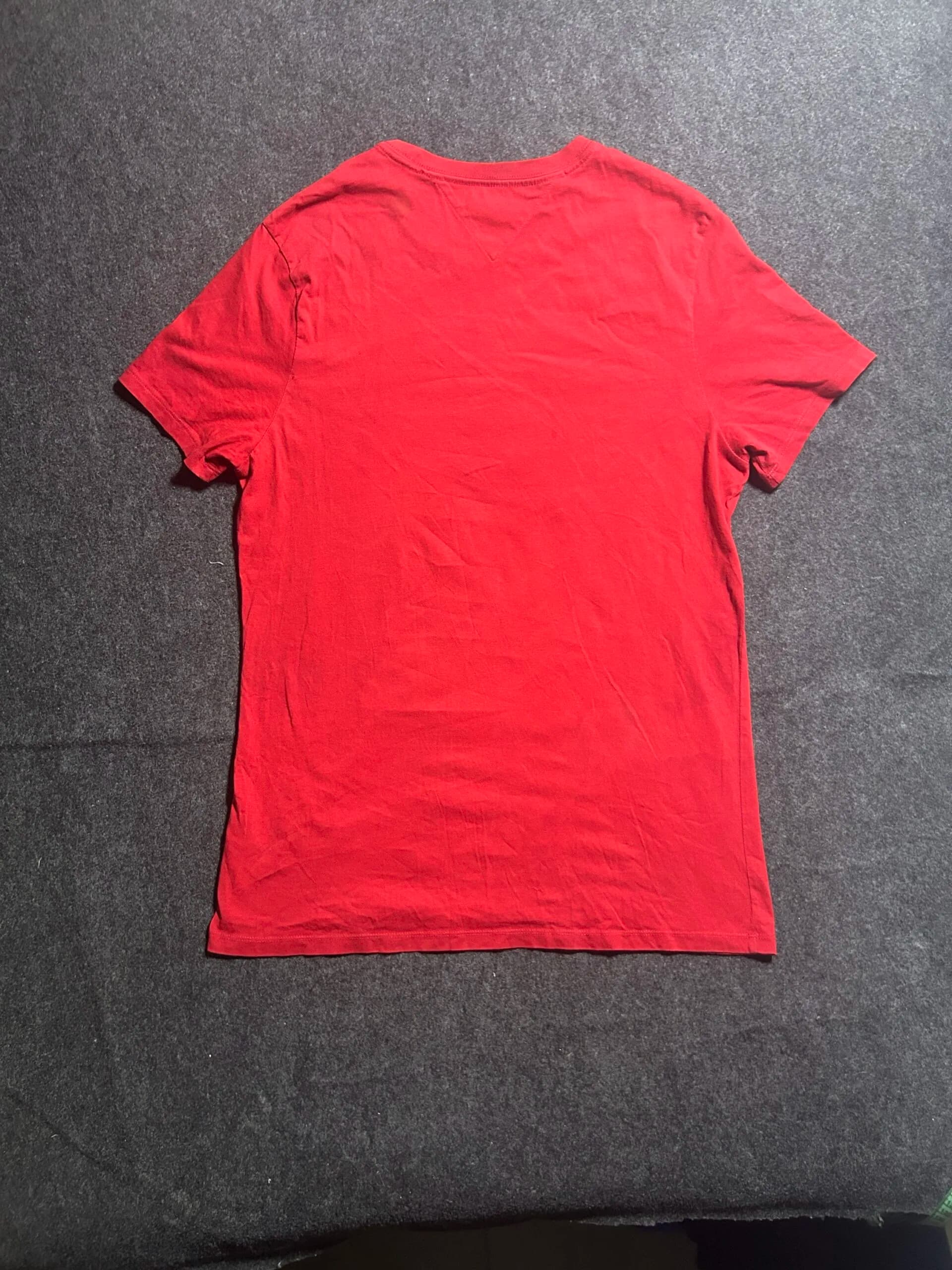 Tommy Hilfiger thrift t-shirt India back view