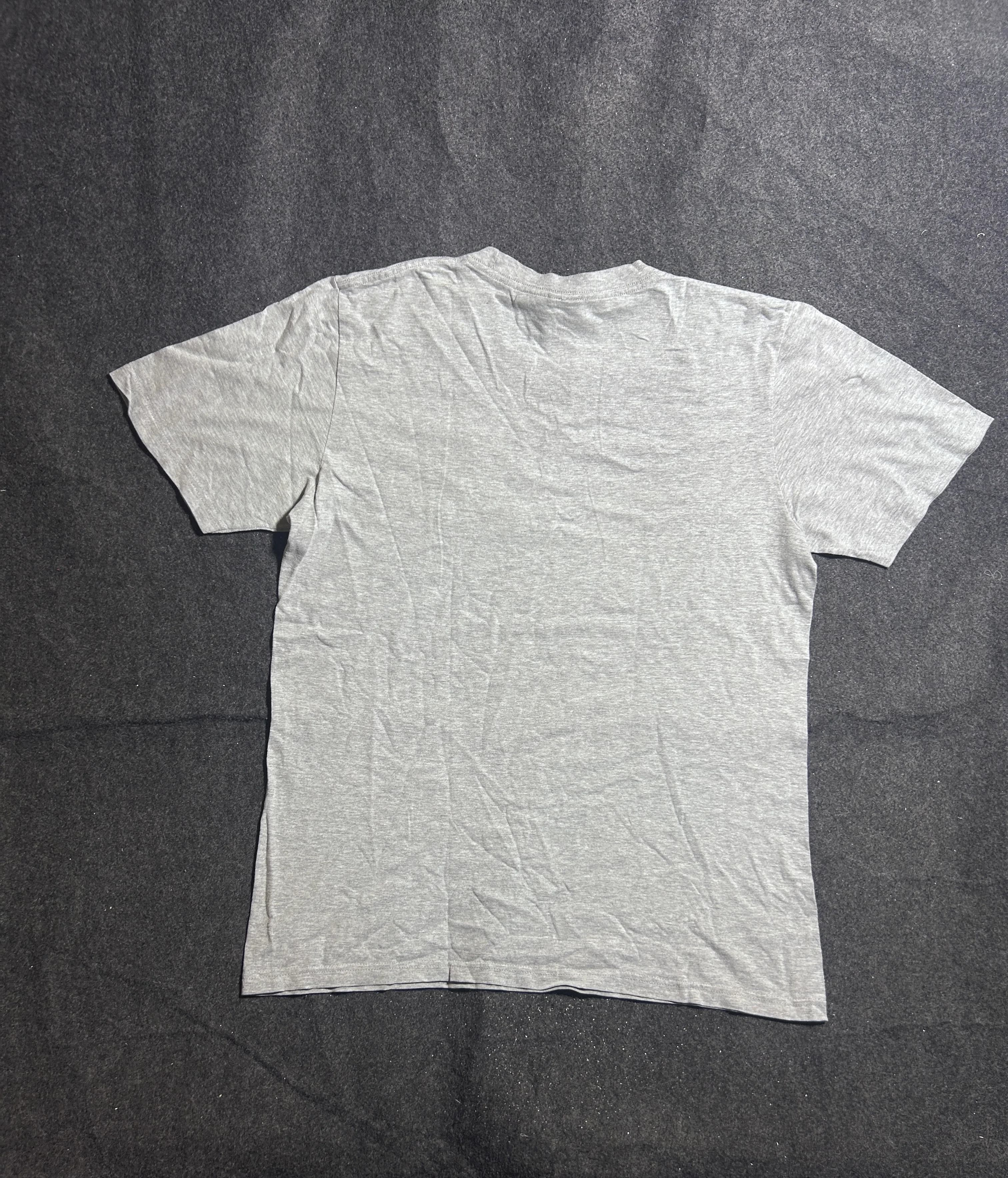 The North Face Since 1968 Graphic T-Shirt  Grey Cotton | L