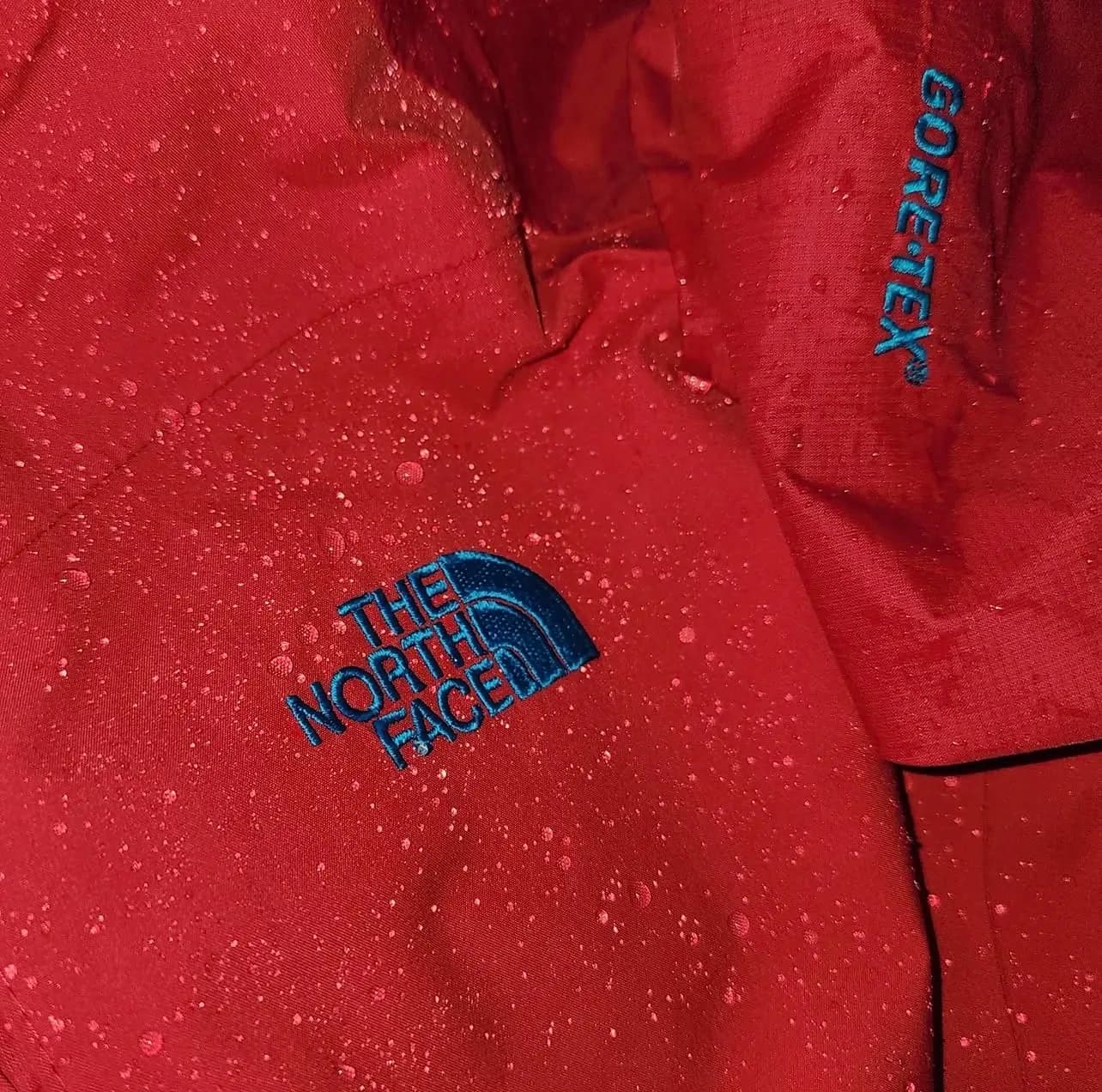 The North Face GORE-TEX thrift waterproof jacket India detail view