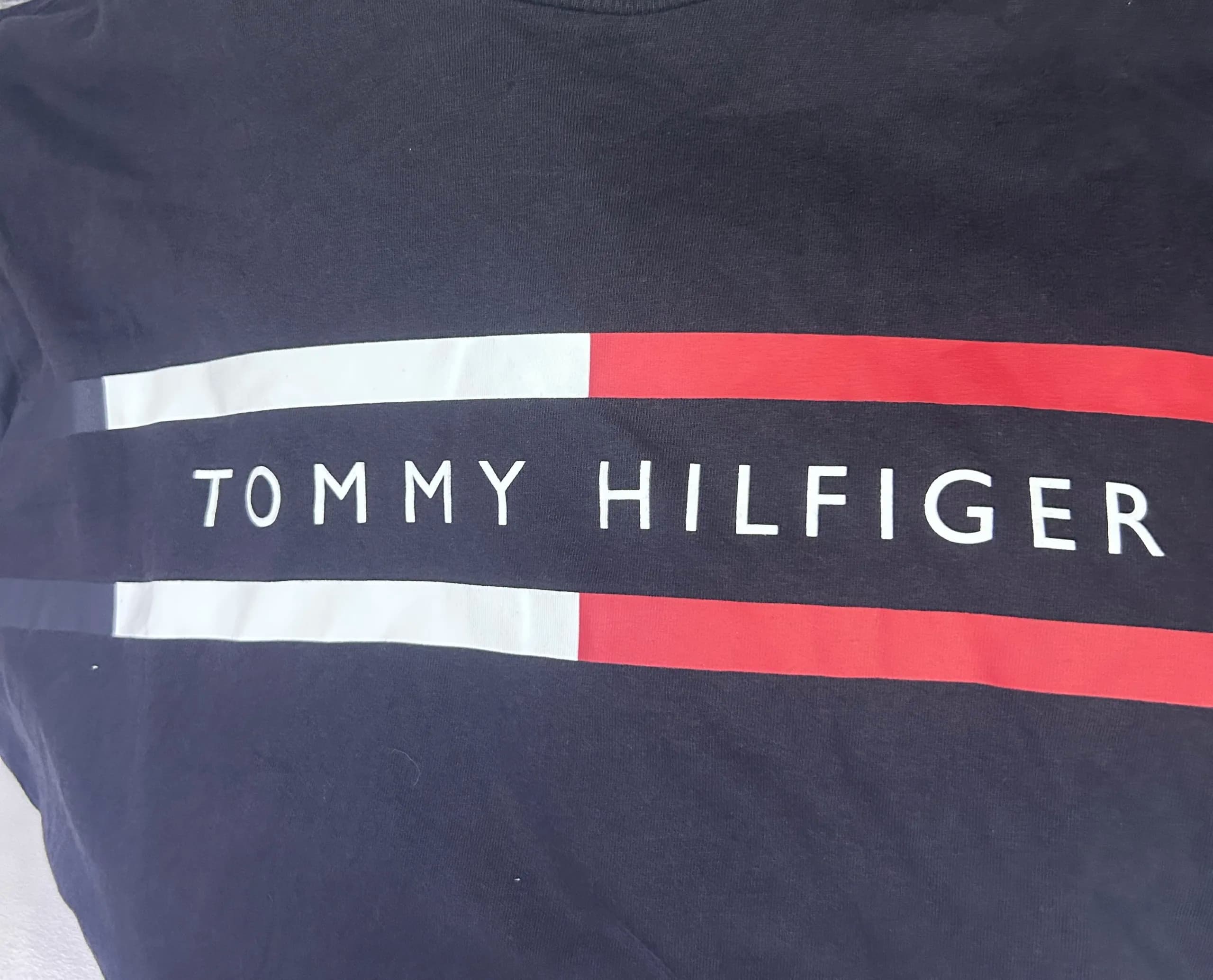 Tommy Hilfiger thrift t-shirt India back view