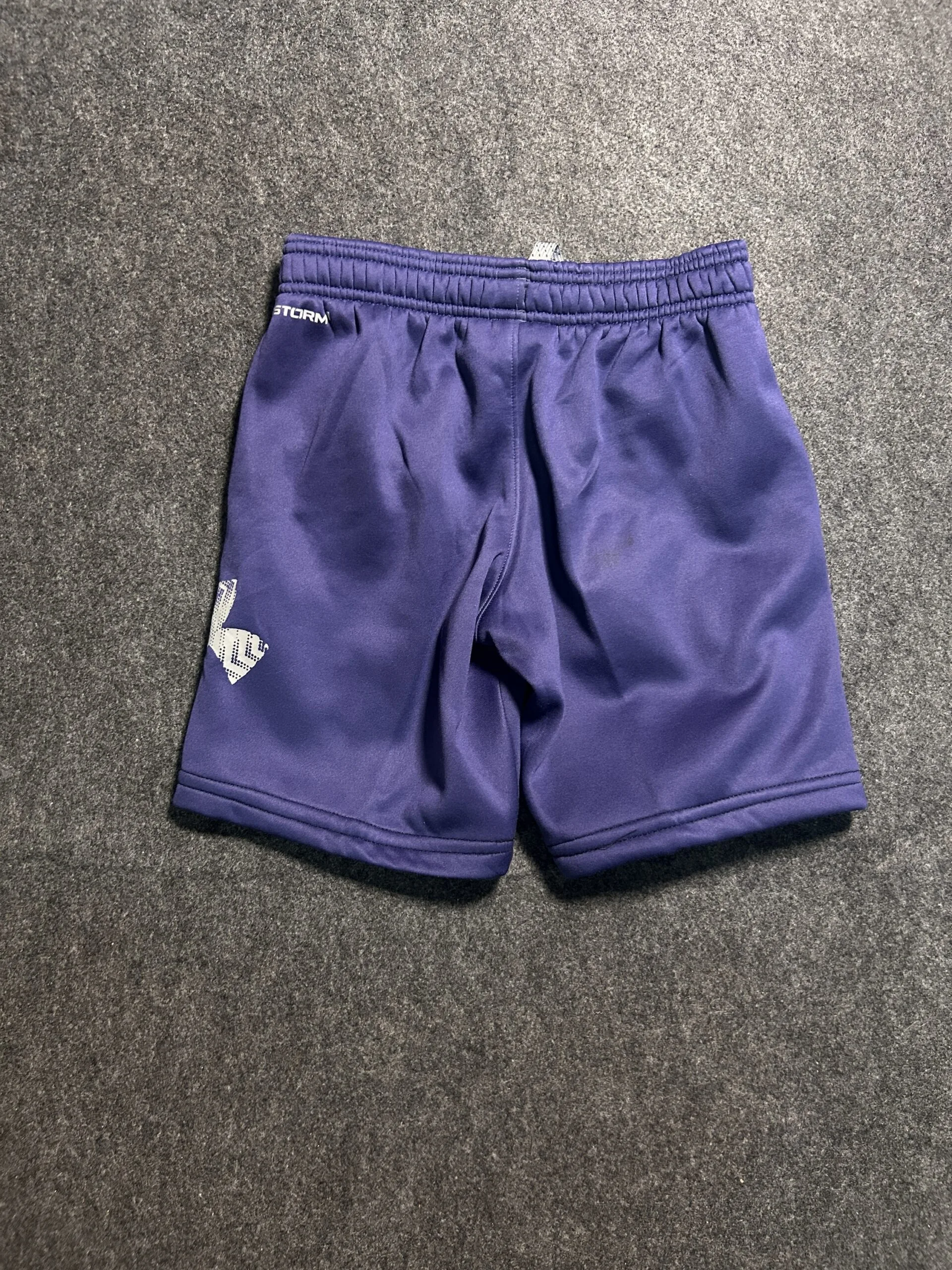 Under Armour Fleece Training Shorts  Purple