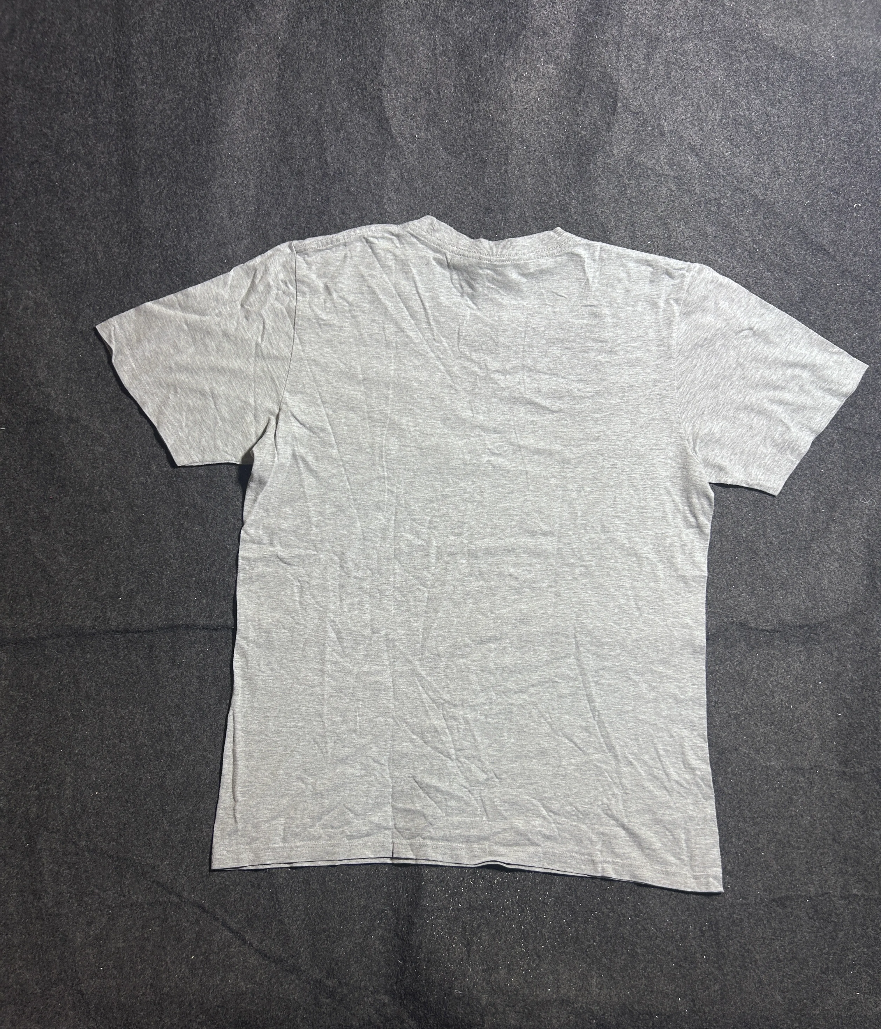The North Face Since 1968 Graphic T-Shirt  Grey Cotton | L