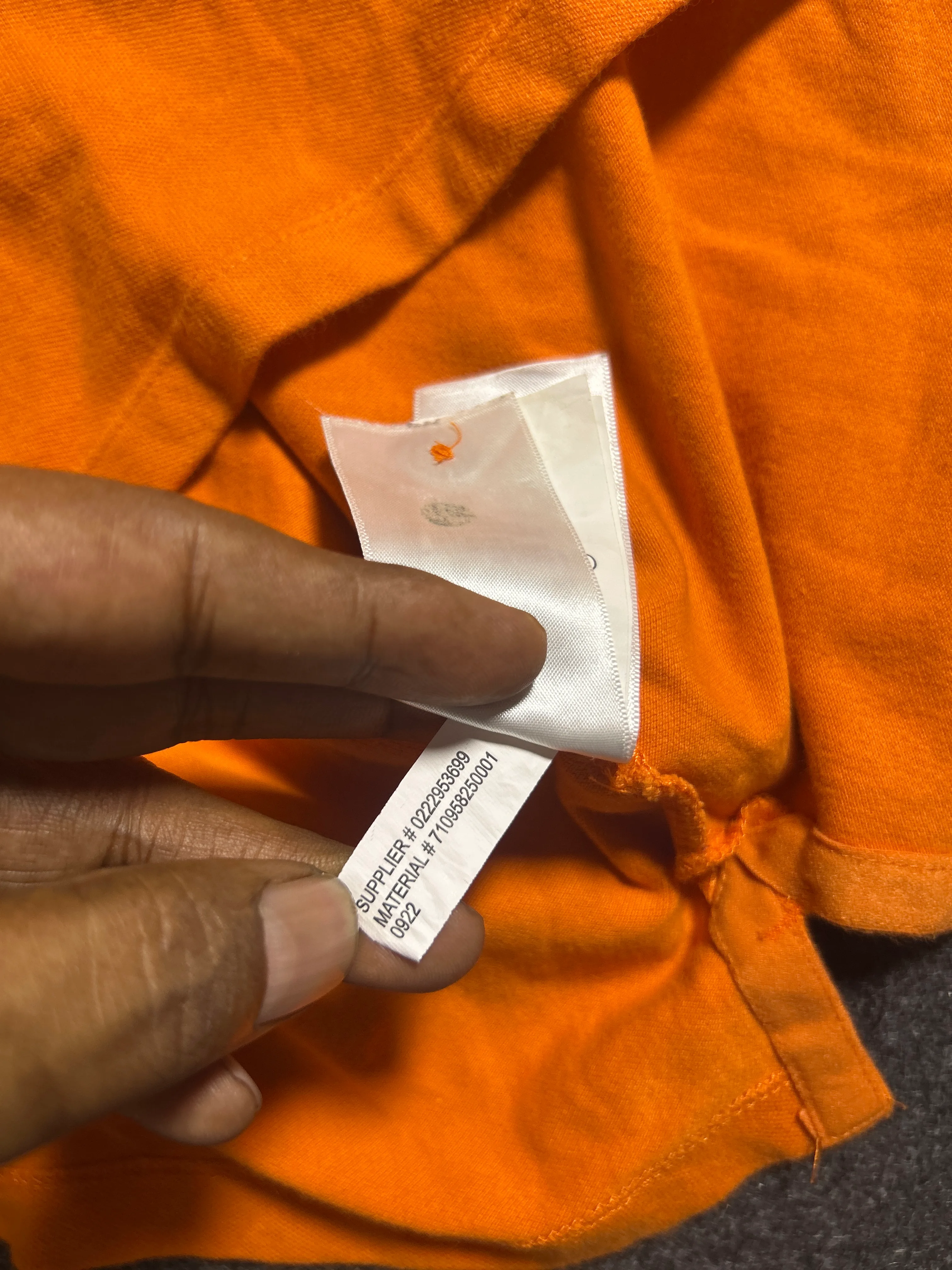 Ralph Lauren thrift polo shirt India close-up