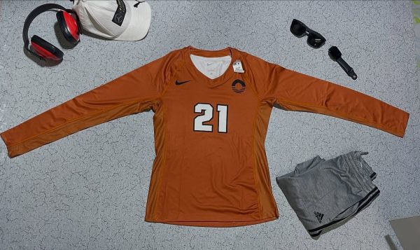 Sports wear stretchy full sleeve tshirt size M condition 99%

Chest 38
Length 24