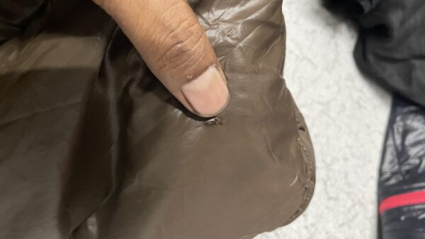 Zara man jacket thrift in india